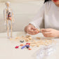 🧑‍🎄🎁Gran regalo para niños🧑‍⚕️Modelo de estructura corporal humana transparente