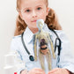 🧑‍🎄🎁Gran regalo para niños🧑‍⚕️Modelo de estructura corporal humana transparente