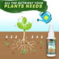 🔥Compra 2 y llévate 1 gratis (3 unidades)🔥 Solución nutritiva para plantas