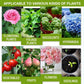 🔥Compra 2 y llévate 1 gratis (3 unidades)🔥 Solución nutritiva para plantas