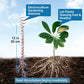 Un hilo - Antena de cobre Electro Culture