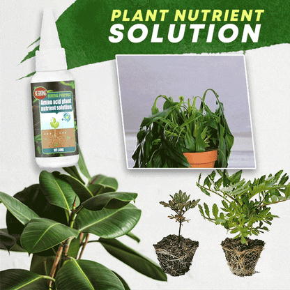 🔥Compra 2 y llévate 1 gratis (3 unidades)🔥 Solución nutritiva para plantas
