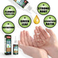 🔥Compra 2 y llévate 1 gratis (3 unidades)🔥 Solución nutritiva para plantas