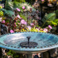 ¿Jardín sin vida y sin enchufes? Energía solar, agua en movimiento, magia al instante. 🌞💧
