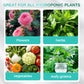 Solución nutritiva hidropónica para el crecimiento de las plantas