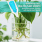 Solución nutritiva hidropónica para el crecimiento de las plantas
