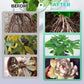 Solución nutritiva hidropónica para el crecimiento de las plantas