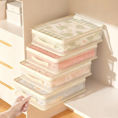 Bolsas organizadoras de armario transparentes