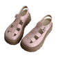 🥳¡OFERTA ESPECIAL 2026!🥳💞¡Más de 50.000 unidades vendidas!👡✨ ¡50% de descuento! Sandalias de plataforma gruesas: 5 cm de altura extra, suela antideslizante con relieve, parte superior transpirable con diseño de jaula. ¡Camina con estilo y comodidad! 🌸💪