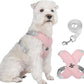 X-frame No-Pull Dog Harness Set with Leash