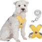 X-frame No-Pull Dog Harness Set with Leash