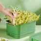 Caja de cultivo apilable para brotes de soja