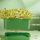Caja de cultivo apilable para brotes de soja